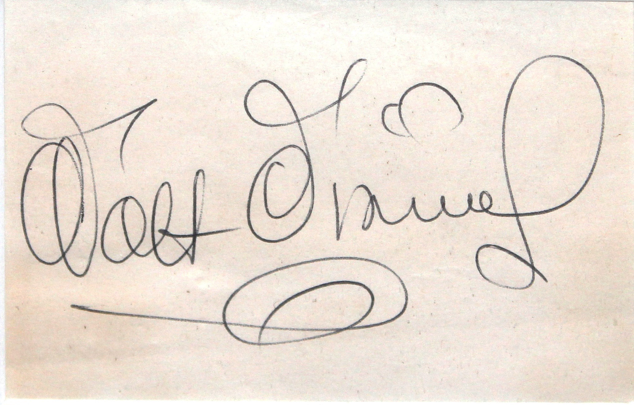 Walt Disney Signature.
